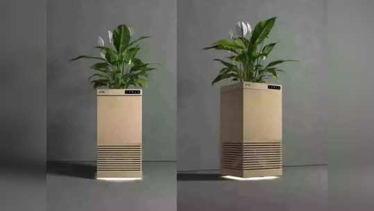 भन्नाट! हा हटके Air Purifier चक्क झाडांच्या मदतीने करेल घरातील हवा शुद्ध