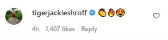 Tiger's comment Tiger's comment