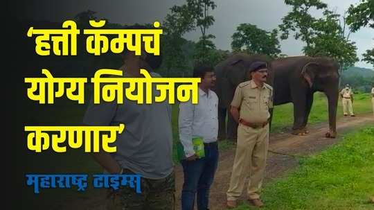 Gadchiroli : हत्तीच्या संवर्धनासाठी प्रयत्न करणार:प्रधान मुख्य वनसंरक्षक सुनील लिमये