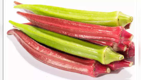 red bhindi 800 rs per kg : घेणार का ८०० रुपये किलो लाल भेंडी? मधुमेह, हृदयरोगासह आरोग्याच्या इतर समस्यांवर लाभदायी