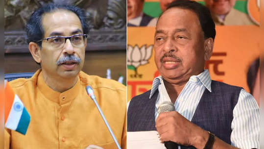 narayan rane criticised uddhav thackeray : नारायण राणेंनी केली मोठी घोषणा, पुन्हा मुख्यमंत्री उद्धव ठाकरेंना केलं टीकेचं लक्ष्य