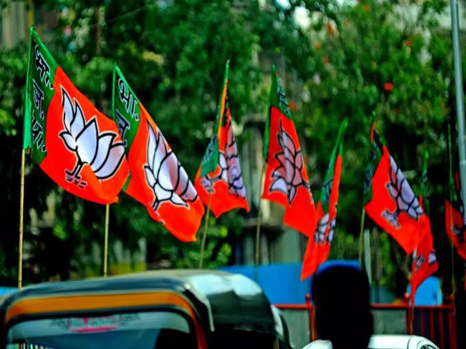 bjp appoints election in charge