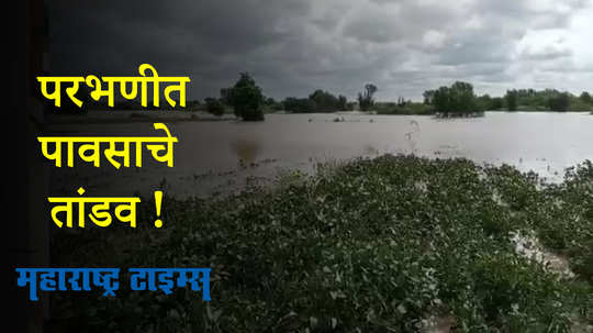 परभणीत पावसाचा हाहाकार;  शेतीसह जनावरांचेही मोठ्या प्रमाणात नुकसान