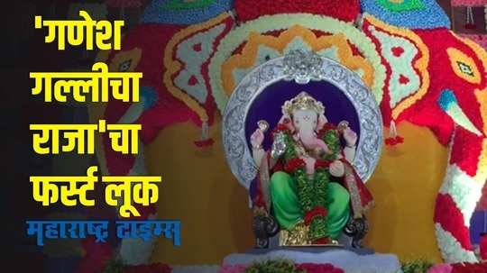 Ganesh Festival : गणेश गल्लीचा राजाचं पहिलं दर्शन; भाविकांसाठी खास व्हिडिओ