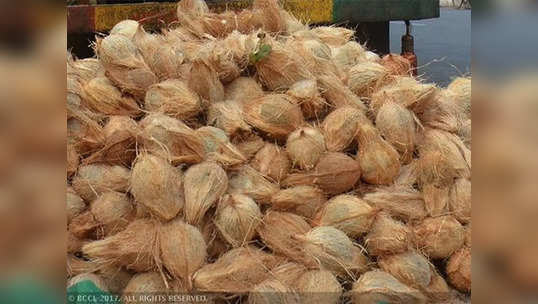 lucky temple coconut : दिव्य नारळ! कर्नाटकमधील फळ विक्रत्याने मोजले ६.५ लाख रुपये