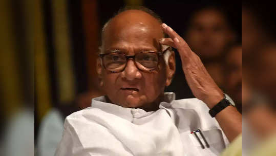 pawar should join congress!: शरद पवार यांनी काँग्रेसमध्ये आले पाहिजे, बाळासाहेबांची भूमिका योग्यच: विजय वडेट्टीवार