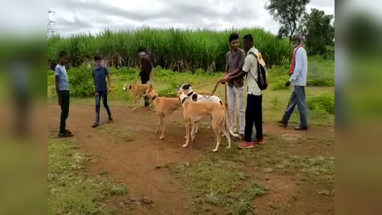 श्वान स्पर्धा राहिली बाजूला, पोलिसांच्या भीतीने मालकच पळाले; वाचा नेमकं काय झालं