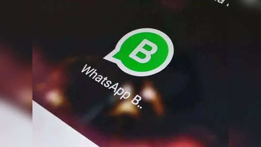 WhatsApp बिझनेस अ‍ॅपमध्ये येणार 'हे' खास फीचर, एका क्लिकवर सर्च करू शकता दुकान-सर्व्हिस