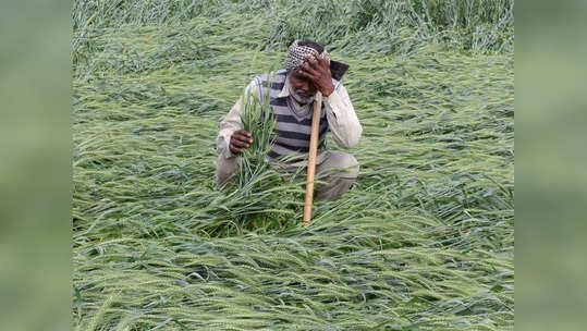 पाचशे शेतकऱ्यांना २३ कोटींना गंडा