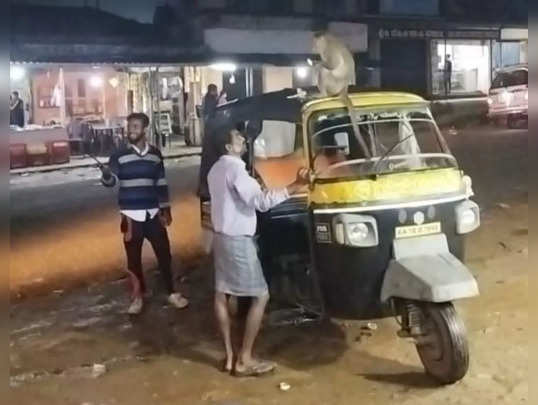 Chikkamagaluru: ಕೋತಿಯೊಂದಿಗೆ ಟೀ ಕುಡಿದು ಖುಷಿ ಪಟ್ಟ ಕೊಟ್ಟಿಗೆಹಾರದ ಜನ: ಬಳಿಕ ಕಪಿಯ  ಅವಾಂತರ ಕಂಡು ಶಾಕ್‌ - monkey took revenge after man hurting | Vijaya Karnataka