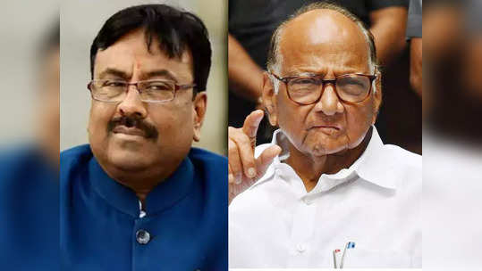 mungantiwar criticizes sharad pawar: 'शरद पवारांना मुख्यमंत्र्यांवर नाराजी व्यक्त करण्याचा अधिकार नाही'; मुनगंटीवारांचे टीकास्त्र