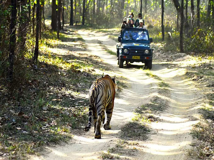-jeep-safari-in-gir-national-park-in-hindi
