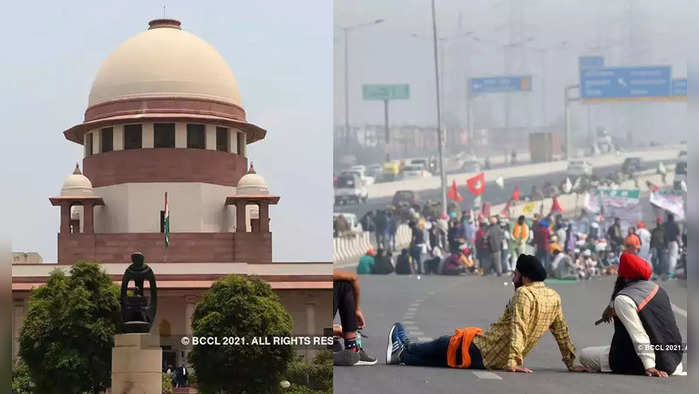 शेतकरी आंदोलनावर सुप्रीम कोर्ट बरसले; म्हणाले, 'तुम्ही शहराचा गळा घोटला...'