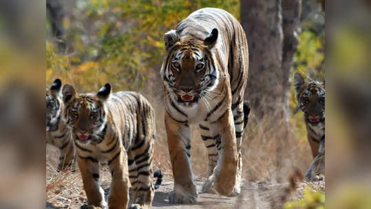 पर्यावरणीय शास्त्राचा विचार होण्याची गरज