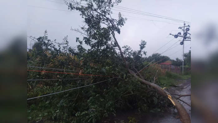 वादळी वाऱ्यासह पावसाचा तडाखा; एक जखमी, शेतीपिकांचे नुकसान