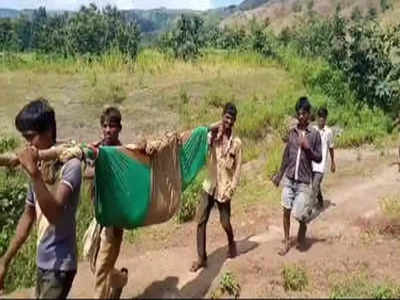 MP News: गर्भवती को लकड़ी में कपड़ा बांधकर 5 किमी तक लादकर ले गए ग्रामीण, गांव तक नहीं पहुंचती एंबुलेंस क्योंकि सड़क नहीं है