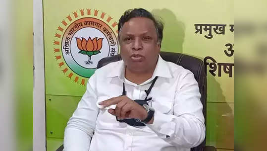 shelar criticizes govt over bandh: 'महाराष्ट्र बंद'; 'जनता असाच सरकारला शासकीय इतमामात निरोप देईल'