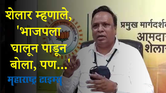 Shivsena vs BJP :  तुकडे- तुकडे गँगची भाषा मुख्यमंत्र्यांच्या तोंडी होती का ; आशिष शेलारांचा सवाल