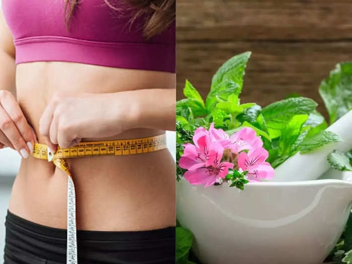 ayurvedic tips to follow to burn belly fat and lose weight naturally as per expert without side effect