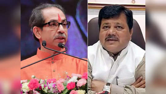 Shiv Sena Vs BJP: 'उर्मिला मातोंडकर कोण? हे तीन मंत्री कुठून आले?; उपरे कोणत्या पक्षात जास्त ते समोर येऊच द्या'