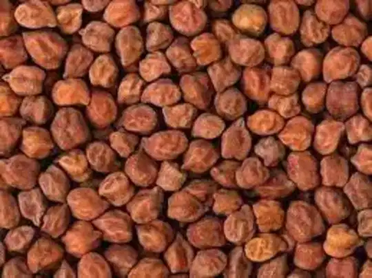 benefits of chickpeas, ஊறவைத்த கருப்பு கொண்டைக்கடலை தினமும் ஒரு கைப்பியாவது  சாப்பிடணுமாம்... ஏன் தெரியுமா?... - health benefits of soaked black  chickpeas in tamil - Samayam Tamil