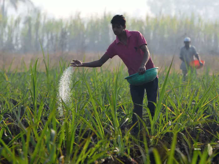 fertilizer shortage hit farmers ahead of rabi season, urea shortage, dap shortage reasons