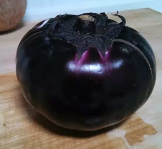 టమాటాలా కనిపిస్తున్నా... ఇది వంకాయ. విదేశాల్లో దీన్ని ఎగ్‌ప్లాంట్ (eggplant) అంటారు.