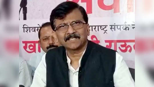 Sanjay Raut: 'तुमचं सरकार घालवल्यापासून आम्हालाही शांत झोप लागतेय'