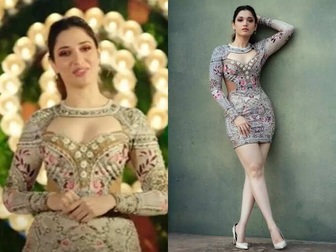 tamannaah: மாஸ்டர் ஷெஃப் தயாரிப்பாளர் மீது கேஸ் போடும் தமன்னா 3 samayam tamil Tamil News Spot