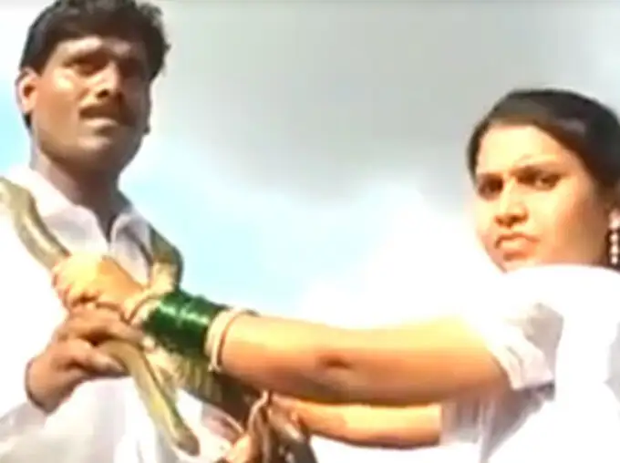 Watch Viral Video Marriage Where Groom And Bride Snake Varmala News In  Hindi | Video: जब दूल्हे-दुल्हन ने की सांपों की वरमाला डाल शादी - Navbharat  Times