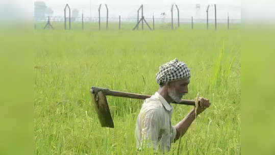 कृषी बाजार समित्यांची निवडणूक प्रक्रिया सुरू