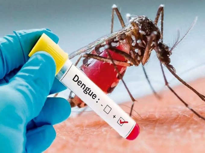 dengue death