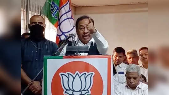 Narayan Rane: भाजपच्या मेळाव्यात राणेंनी दिला सज्जड दम; 'निवडणुकीत गद्दारी कराल तर...'