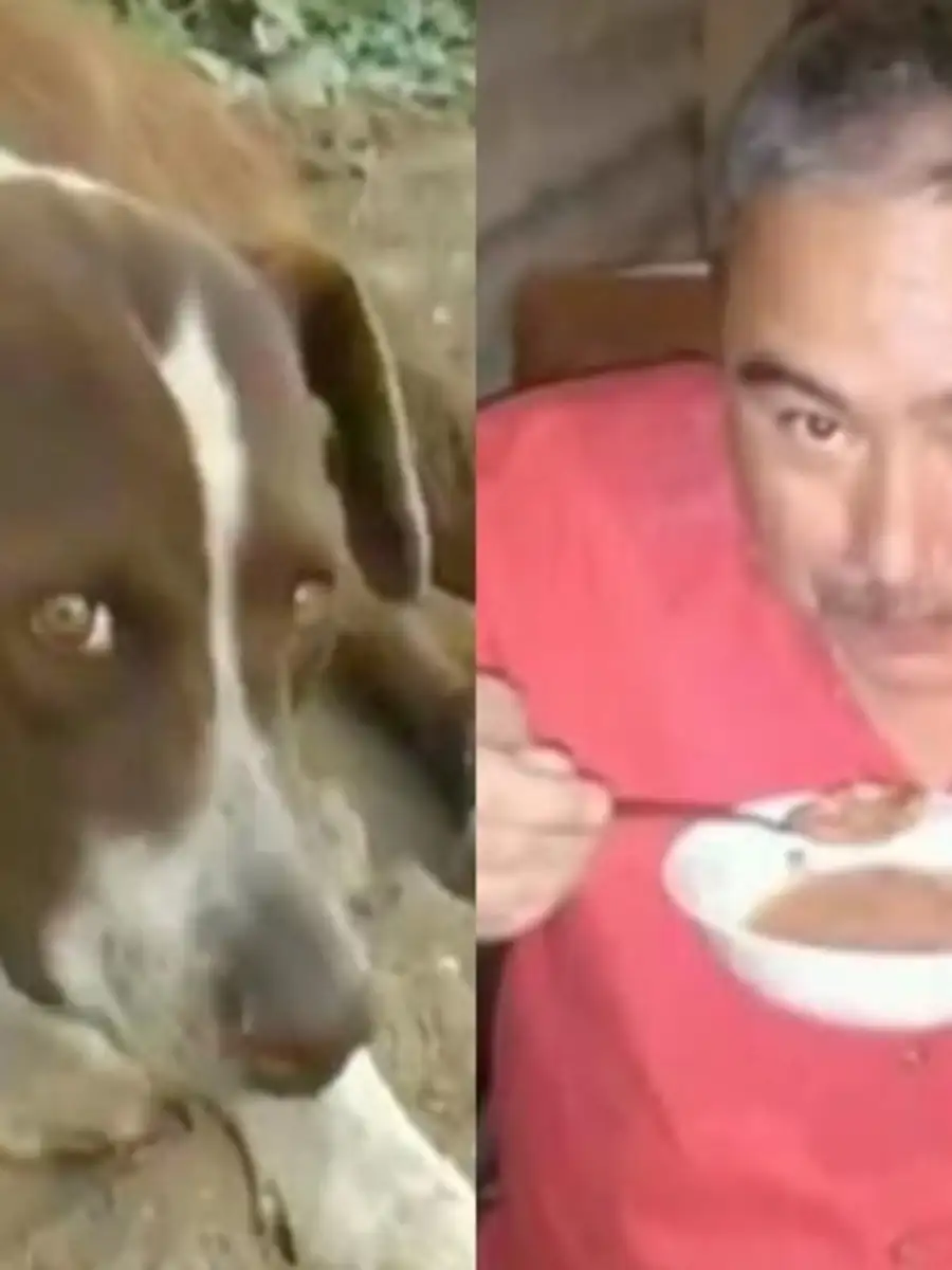 Dog Regularly Visits Coal Mine That Collapsed And Killed Its Owner He