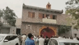 NBT
