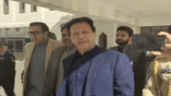 NBT