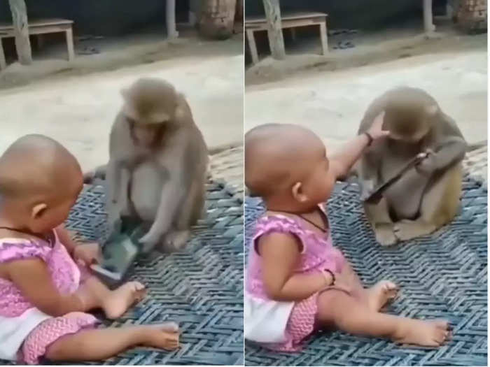 Baby Girl and Monkey Fight video