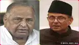 NBT