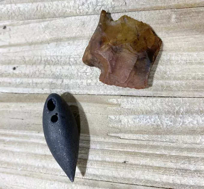 5000 year old arrow found in alligators stomach