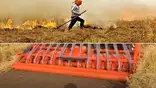 NBT