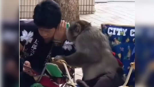 मोबाईलसाठी माकडाने लावला तरुणाला मस्का; Video पाहून तुम्ही देखील व्हाल अवाक