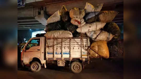 बेकायदा प्रवासी वाहतुकीवर कारवाई गरजेची