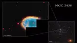 NBT