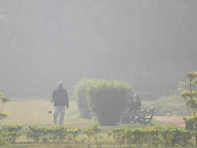 Delhi Air Pollution: हवा ने दिया साथ, तो 2 दिन बाद दिल्ली में घटने लगेगा प्रदूषण 