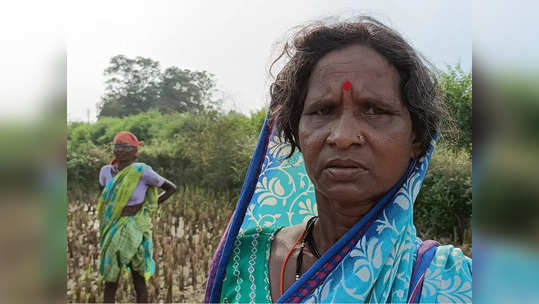 ७० वर्षांच्या आजीने हत्याराविना दिली वाघाशी झुंज; शेवटी वाघ पळाला