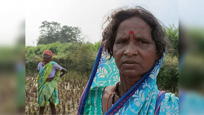 ७० वर्षांच्या आजीने हत्याराविना दिली वाघाशी झुंज; शेवटी वाघ पळाला