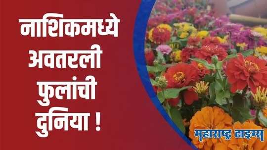 नाशिकचं फ्लॉवर पार्क ठरतंय पर्यटकांचे आकर्षण; 5 लाख फुलांची मैफिल