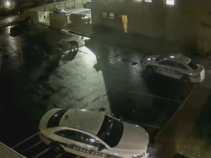five grizzly bear roaming around police station security camera captured this video
