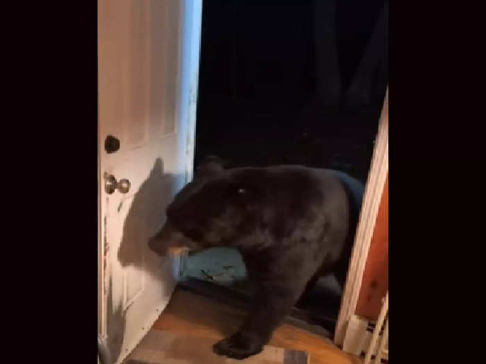 Woman Request To Bear Closes Door