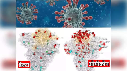 PHOTO: नवा करोना व्हेरियंट Omicron चा पहिला फोटो जाहीर